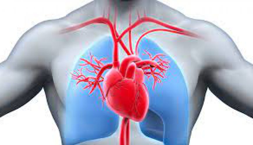 Cardiovascular disease (CVD) is a class of diseases that involve the heart or blood vessels. CVD includes coronary artery diseases (CAD)